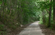 path in woods in andover, photo courtesy of Bob Smith
